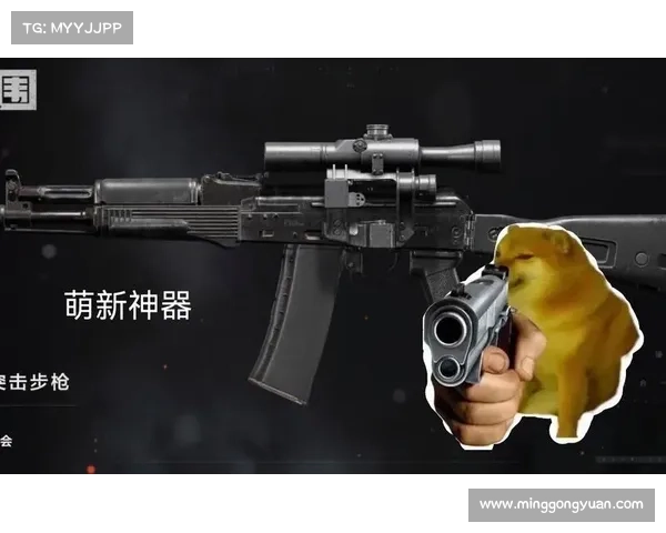 敏锐之枪，世界征战：全面解析敏枪战士制胜之道