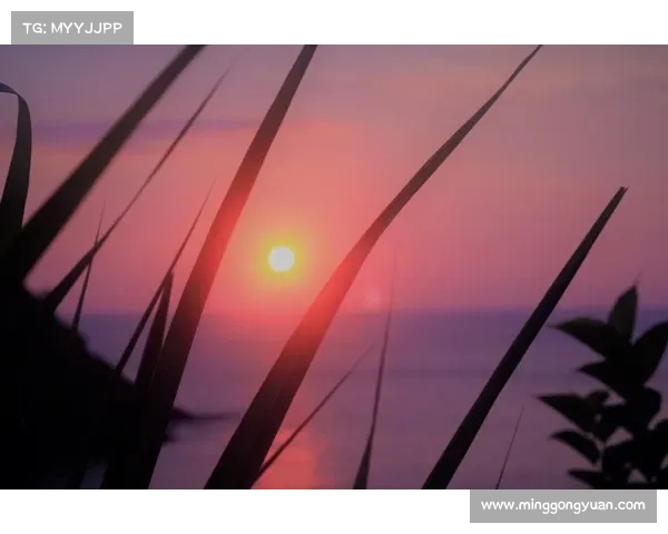 攻略向GL之光影流转，细水长流