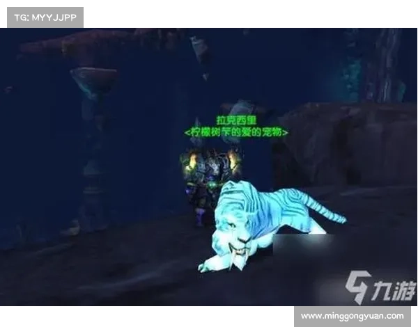 魔兽世界猎人:宠物技能释放攻略